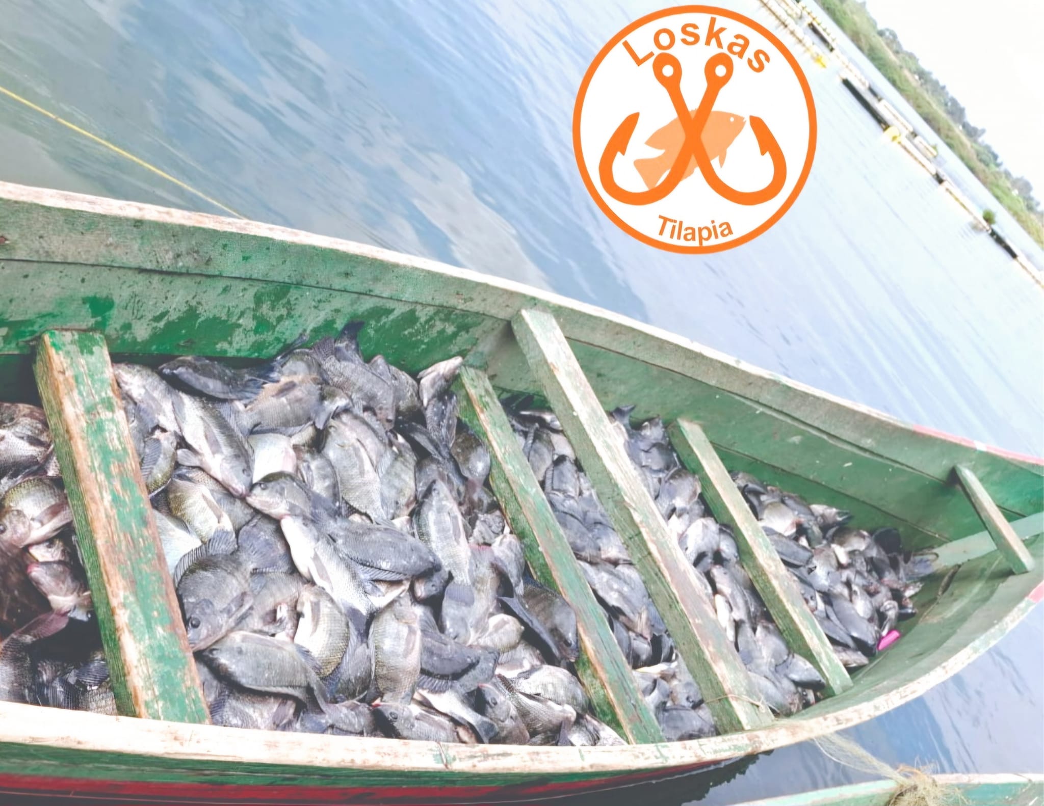 Fish Depos Nairobi
