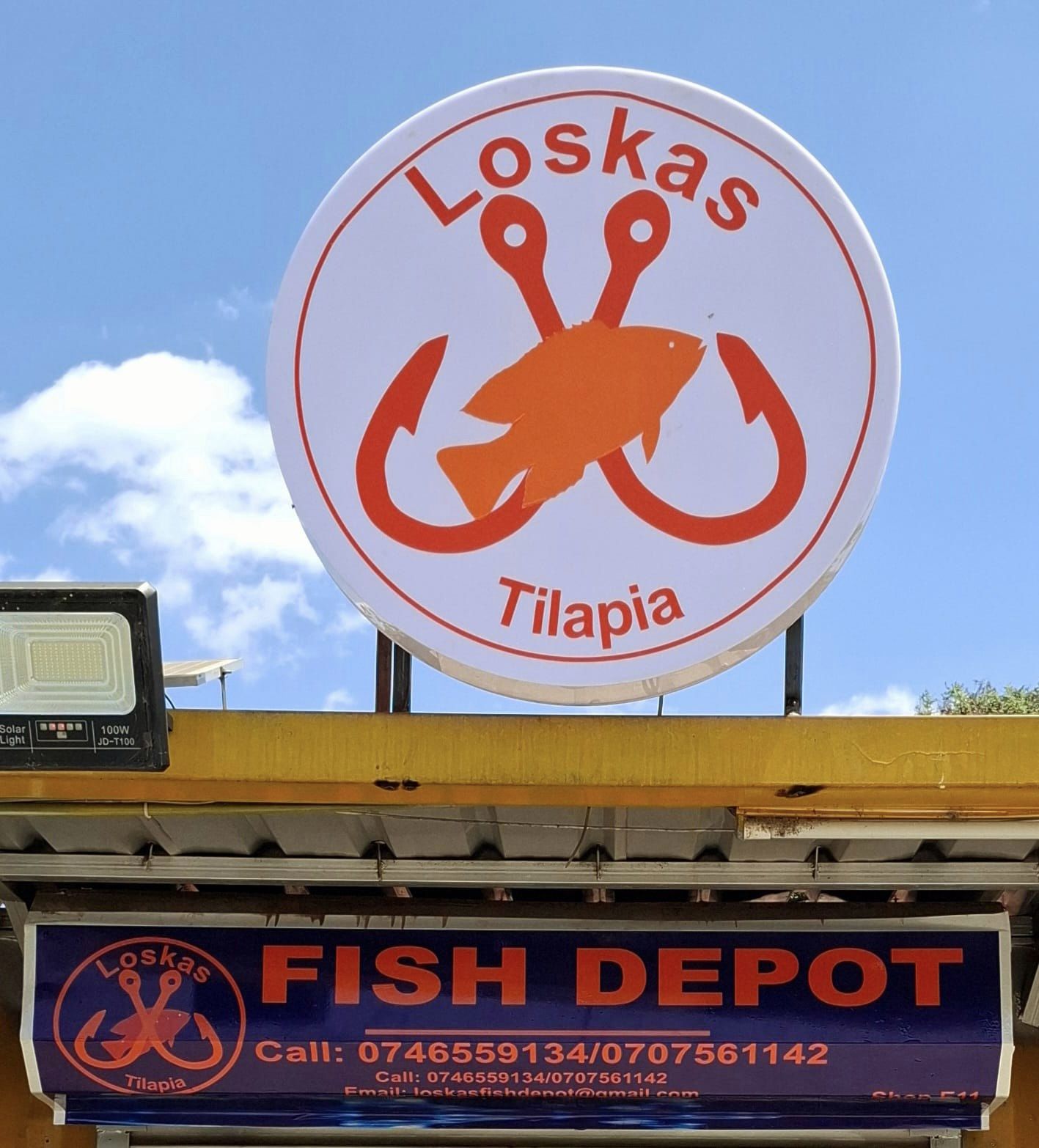 Wholesale Fish Supply